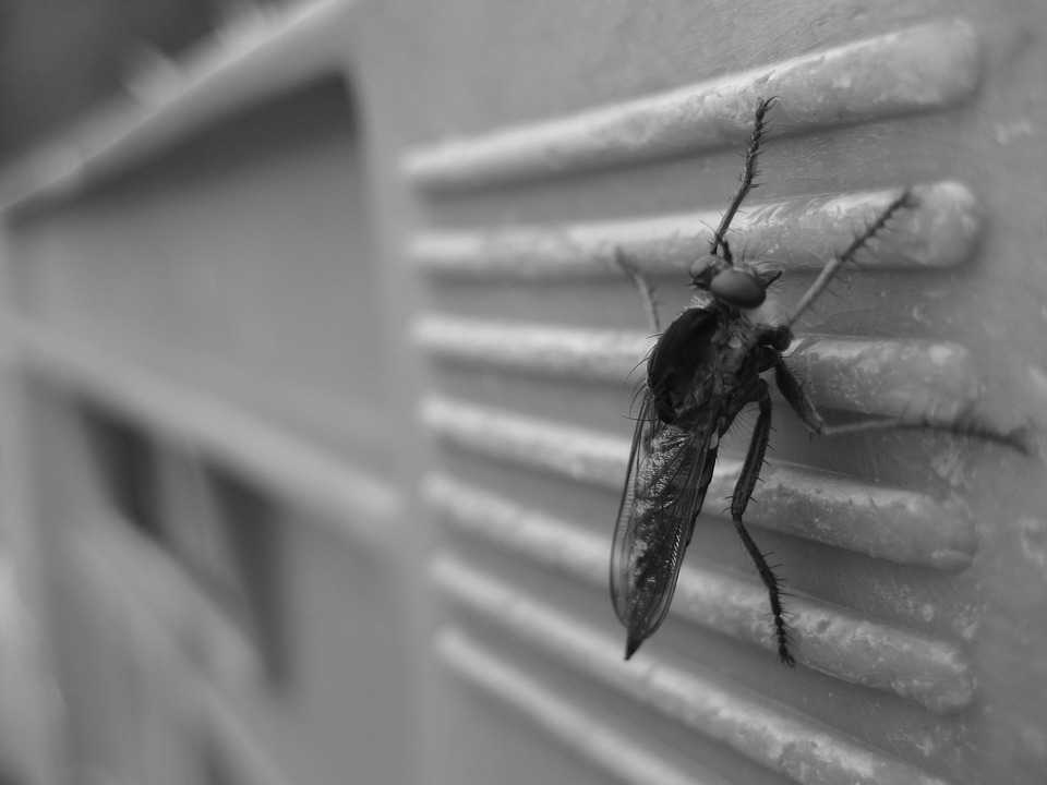 Insektenschutz auf Maß